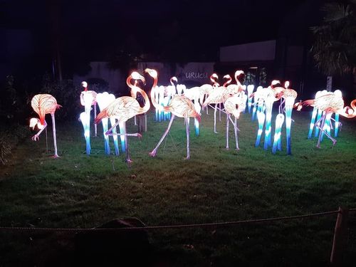Foto uit Lichtfestival 2020
