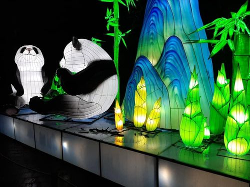 Foto uit Lichtfestival 2020