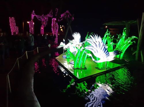 Foto uit Lichtfestival 2020