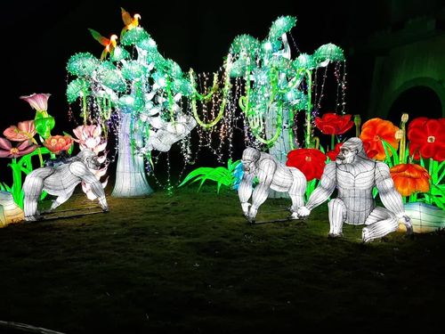 Foto uit Lichtfestival 2020