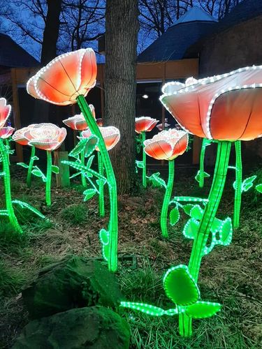 Foto uit Lichtfestival 2022