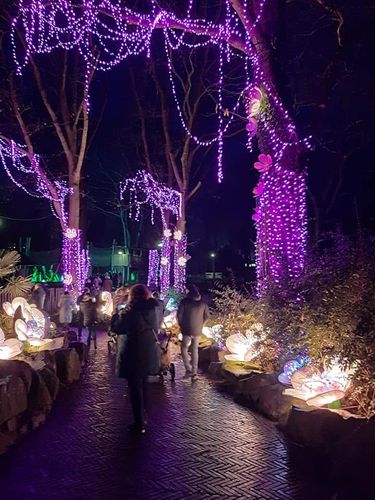 Foto uit Lichtfestival 2020