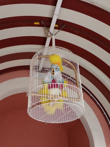 Deze vogel hangt onder de luifel in de ingang van de show.