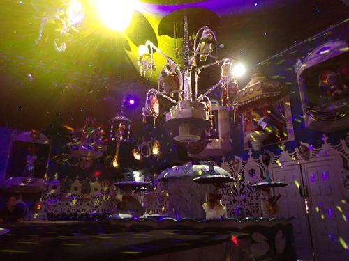 De climax van de vogelshow! Een groot feest met het bekende muziekstuk Volare.