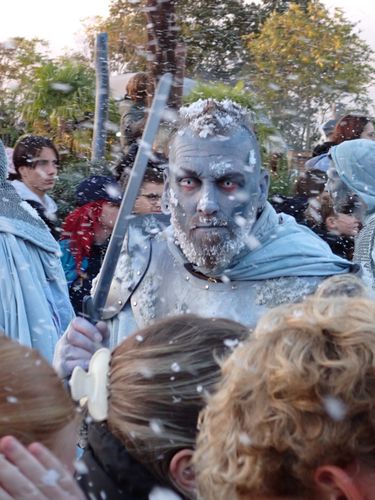 Een van Morgana's Frozen Knights.