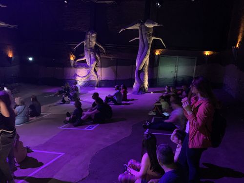Wachtvakken in de Wondergrot van PandaDroom