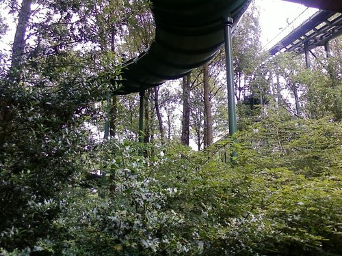 De Bob, gefotografeerd vanuit de wachtrij met rechts in beeld de lifthill.