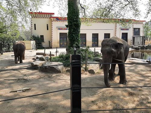 Foto uit Eerste keer Zoo Antwerpen