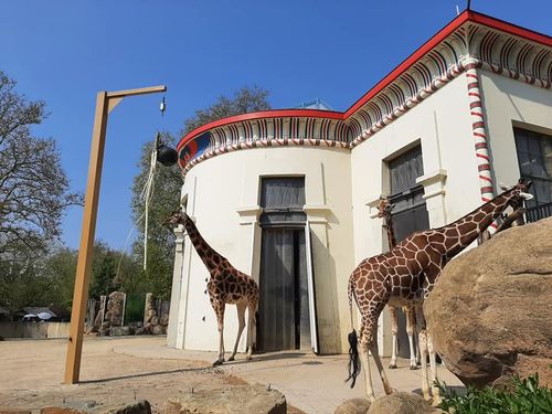 Foto uit Eerste keer Zoo Antwerpen