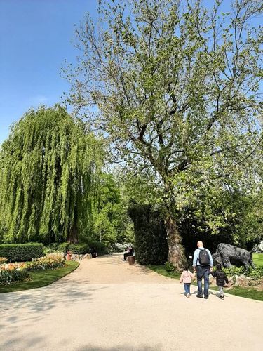 Foto uit Eerste keer Zoo Antwerpen