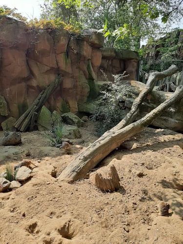 Foto uit Eerste keer Zoo Antwerpen
