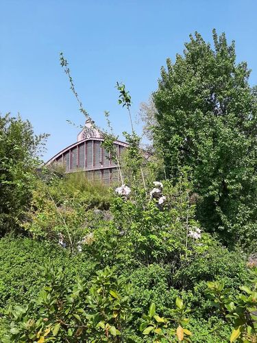 Foto uit Eerste keer Zoo Antwerpen